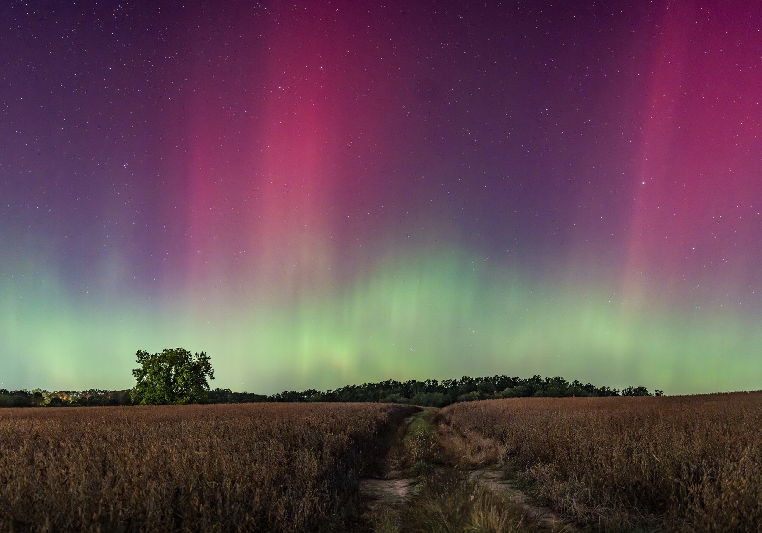 aurora borealis, northern lights over the harford county farmland, Maryland 2024
